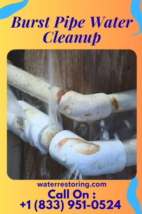 Burst Pipe Water Cleanup in Clementon, NJ