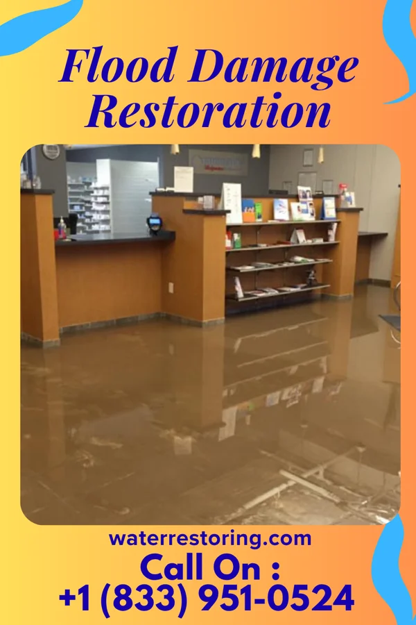 Flood Damage Restoration in Clementon, NJ