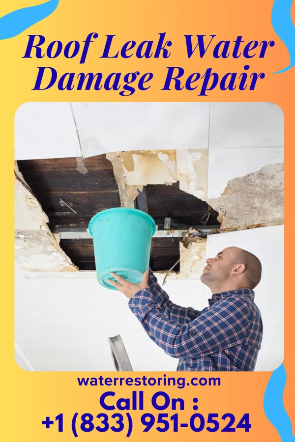 Roof Leak Water Damage Repair in Clementon, NJ