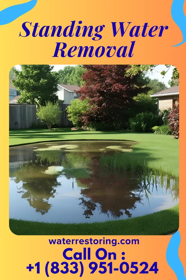 Standing Water Removal in Clementon, NJ